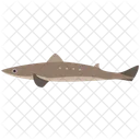 Fish  Icon