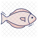 Fish Aquatic Seafood Icon