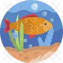 Nature Fish Aquatic Icon