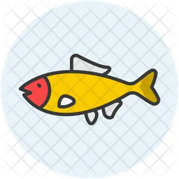 Fish  Icon