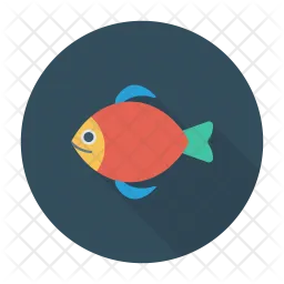 Fish  Icon