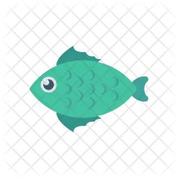 Fish  Icon