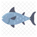 Fish Food Animal Icon