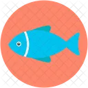 Fish Food Healthy Icon