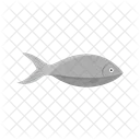 Fish Animal Wildlife Icon