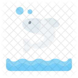 Fish  Icon