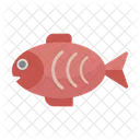 Fish Healthy Dinner Icon