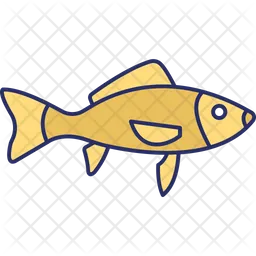 Fish  Icon