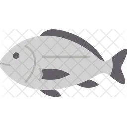 Fish  Icon