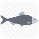 Fish  Symbol