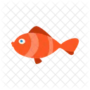 Fish Fishing Icon