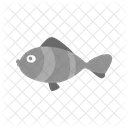 Fishing Fish Icon