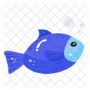Fish Seafood Sea Creature Icon