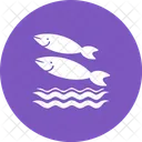Fish Swimming Water Icon