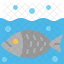 Fish Water Nature Icon
