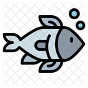 Fish Salmon Tuna Icon