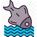 Fish  Icon