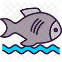 Fish  Icon