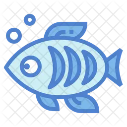 Fish  Icon