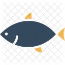 물고기 동물 수족관 아이콘