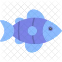 Fish Animal Nature Icon