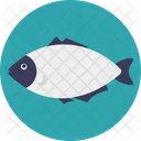 Freshwater Fish Pet Icon