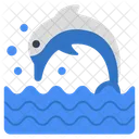 Fish Dolphin Whale Icon