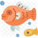 Fish Sea Underwater Icon