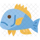 Fish Aquatic Animal Icon