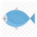 생선 음식 해산물 아이콘