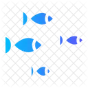 Fish Meat Fishes Icon