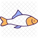 Fish Pterophyllum Acara Fish Icon