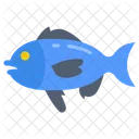 Fish Sardine Catfish Icon