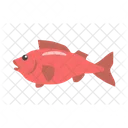 Fish Red Aquatic Icon
