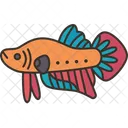 Fish Betta Aquatic Icon