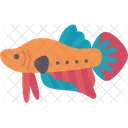 Fish Betta Aquatic Icon
