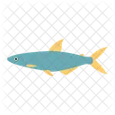 Fish Animal Fishing Icon