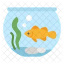 Fish Water Bowl Icon