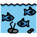 Fish Farming  Icon