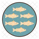 Fish Group School  Icon