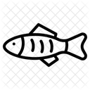 Fish  Icon