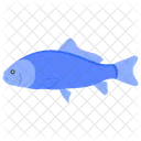 Fish Marine Life Animal Icon