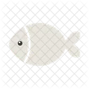 Fish  Icon