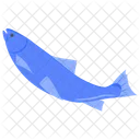 Fish Whale Marine Life Icon