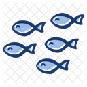 Fish Food Seafood Icon