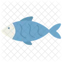 Domestic Animal Fish Icon