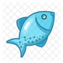 Fish Food Meal Icon