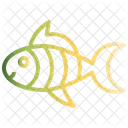 Fish Summer Animal Icon
