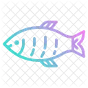 Fish  Icon