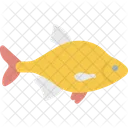 Fish  Icon